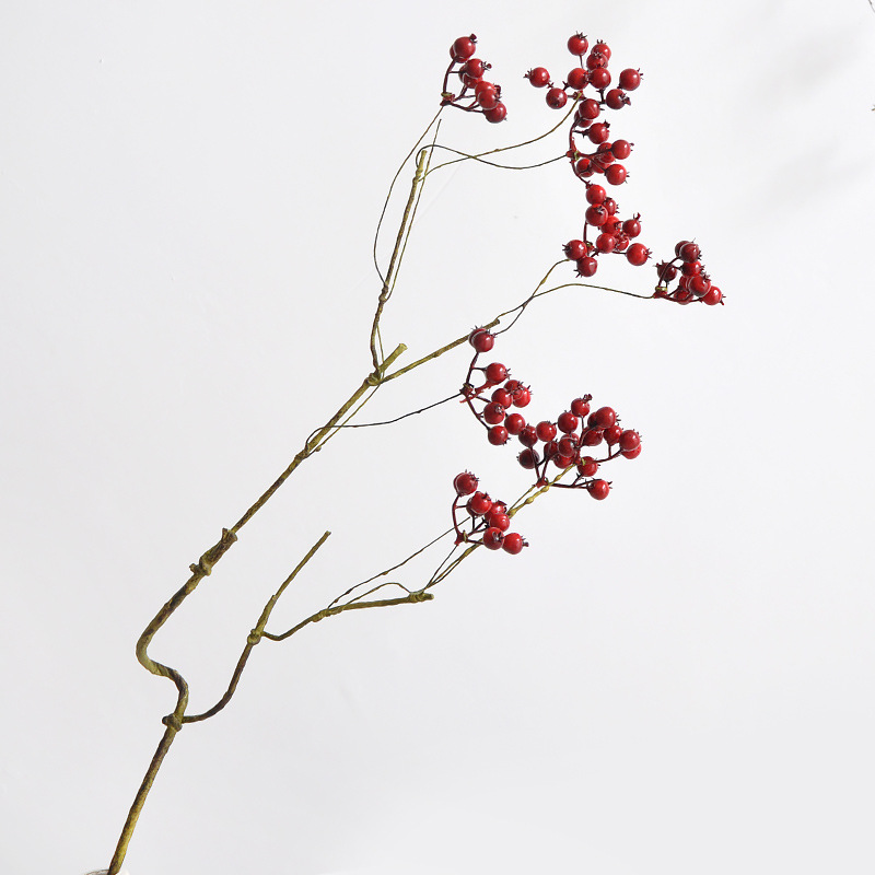 Fruit Artificiel Américain de  - Photography Artificial Lighting avis et prix
