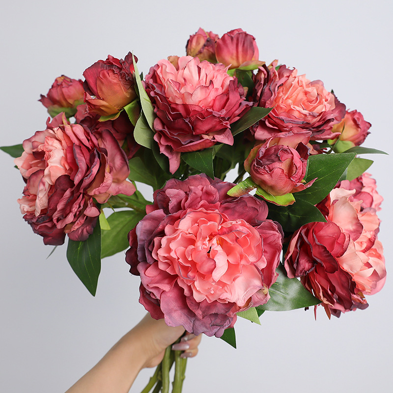 Simulation de pivoine rétro à  - Photography Artificial Lighting avis et prix