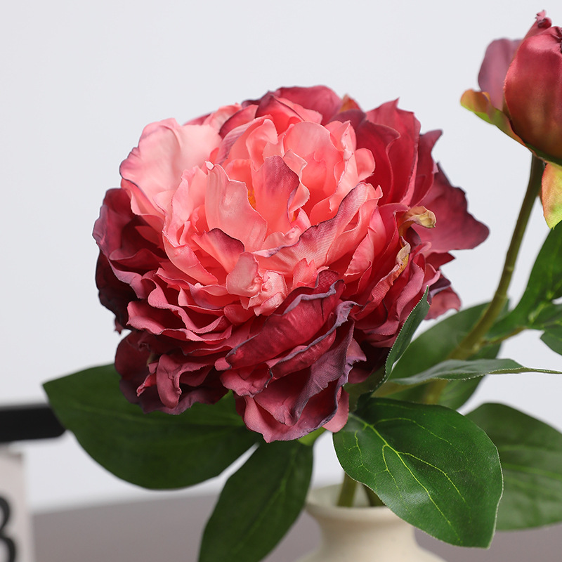 Simulation de pivoine rétro à  - Photography Artificial Lighting avis et prix