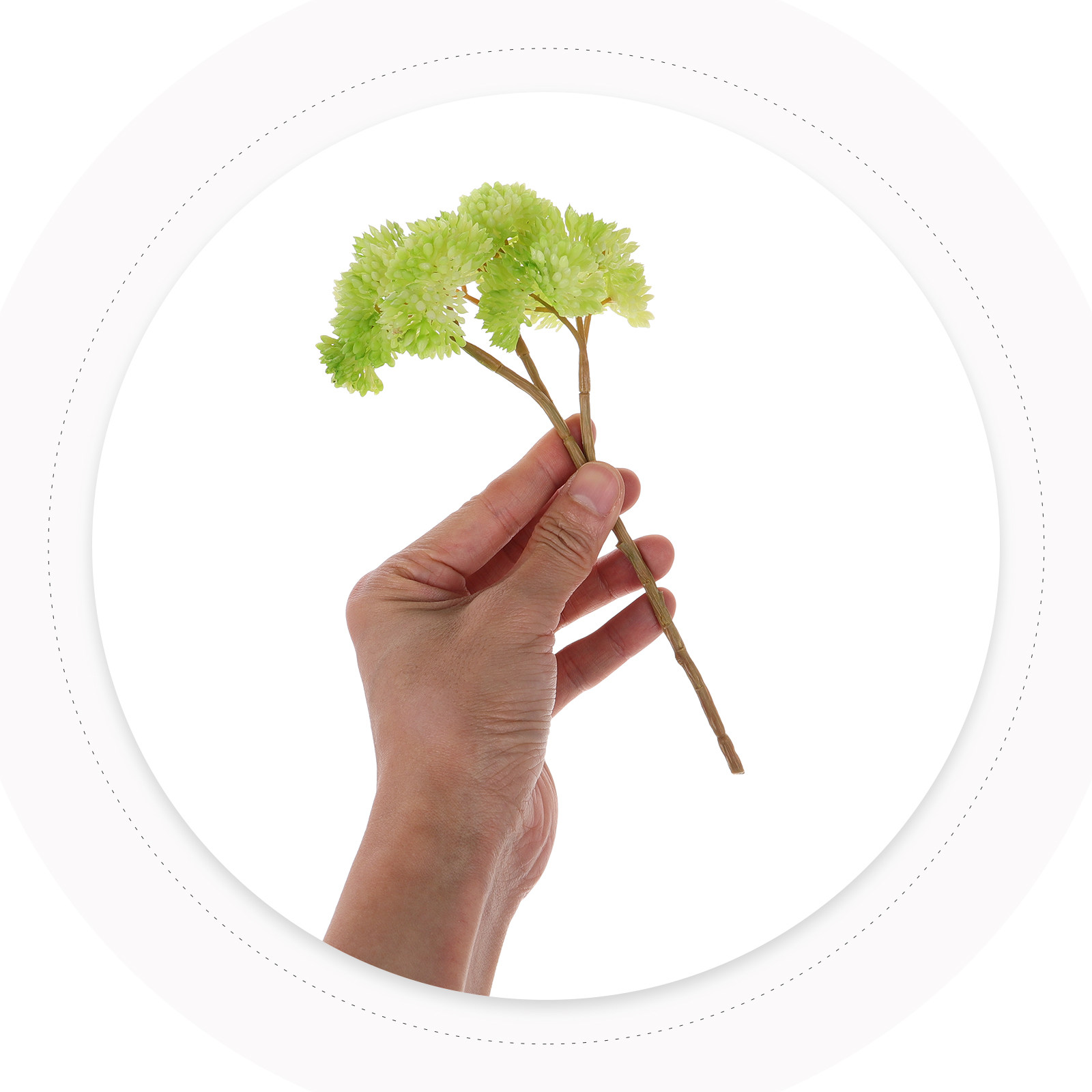 Mini plantes succulentes artif - Photography Artificial Lighting avis et prix