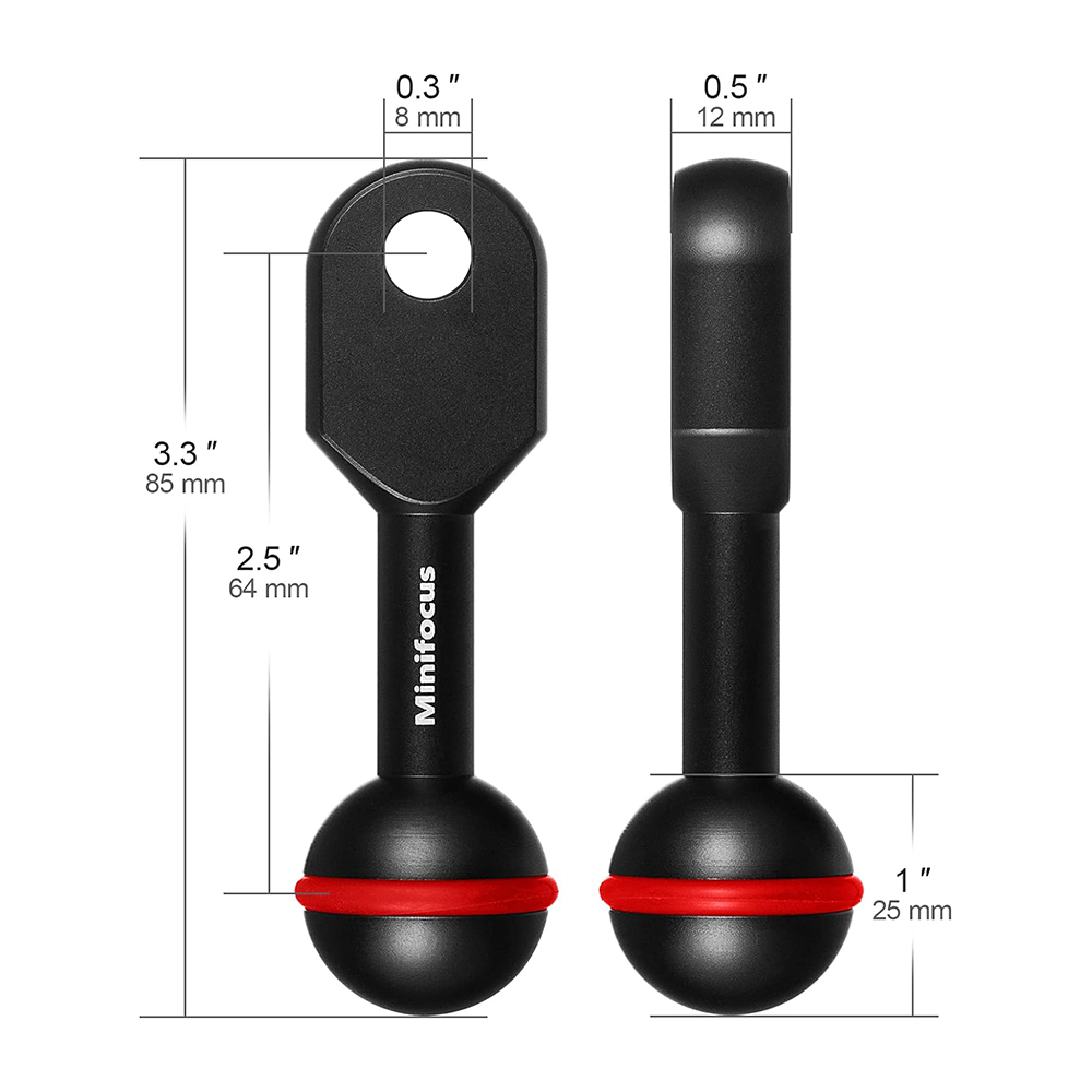 Pince de lampe de poche de plo - Photography Lighting Essentials avis et prix